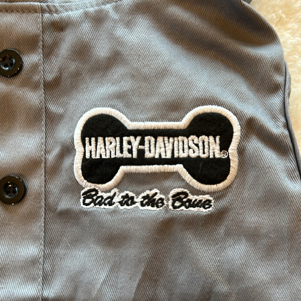 Chihuahua Harley vest